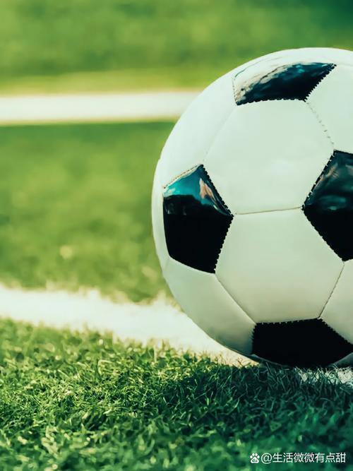 球员技术统计分析